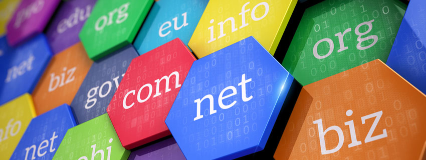 protecting Your Domains with Domain Registration